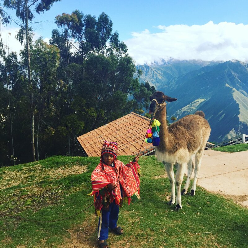 Kind met lama in Peru