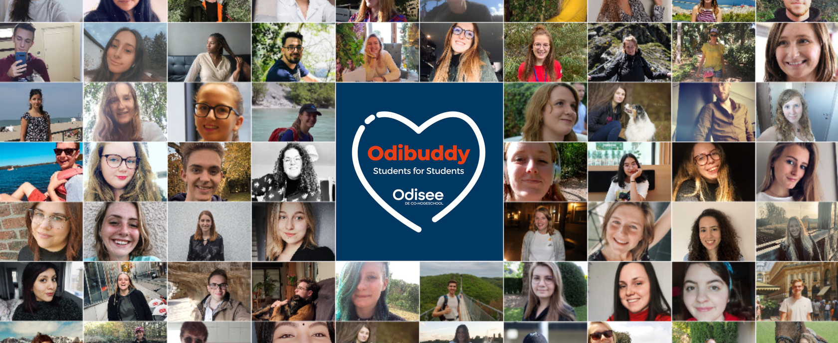 Collage Odibuddy
