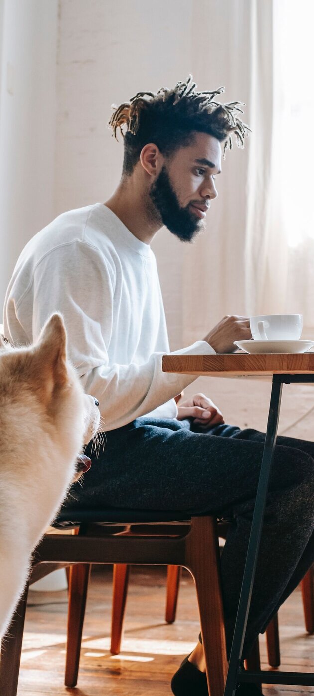 Man with dog working on laptop